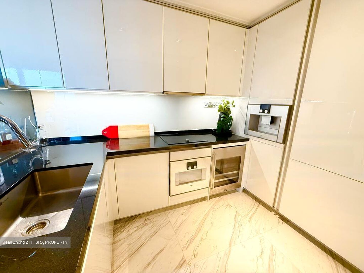 Wallich Street (D2), Condominium #454019861